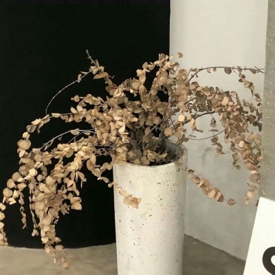 平度福瑞交流群